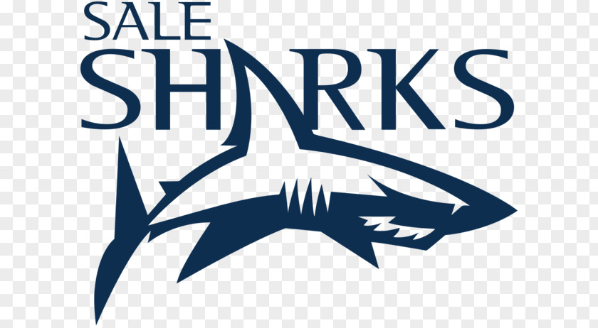 Sale Sharks Logo Rugby Union European Challenge Cup Football PNG