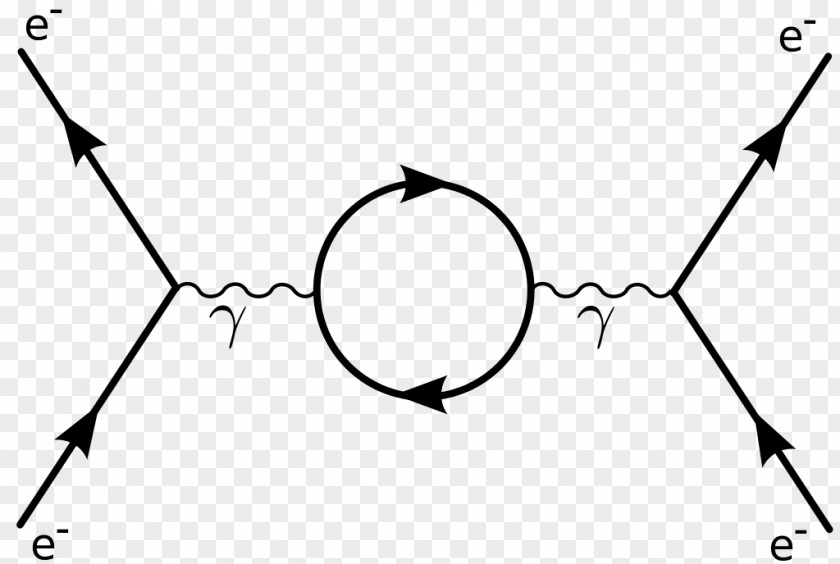 Scientist Feynman Diagram Diagrammatica Quantum Mechanics Electrodynamics Field Theory PNG