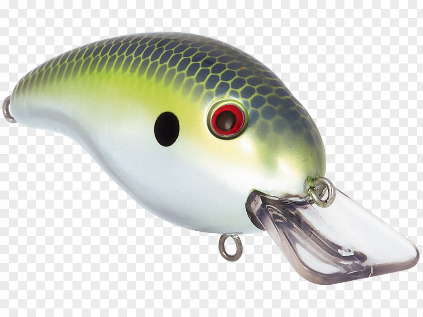 Spoon Lure Fishing Baits & Lures AC Power Plugs And Sockets PNG