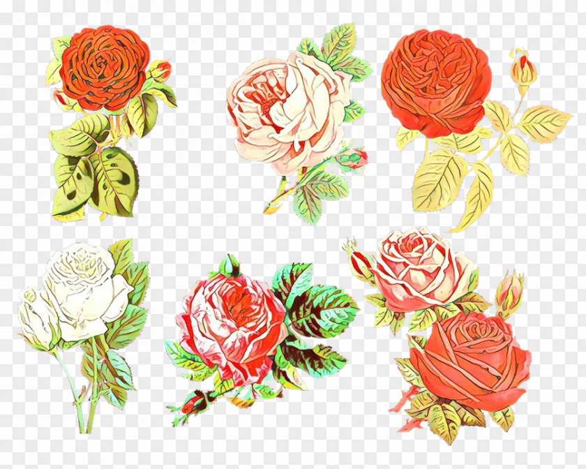 Garden Roses Floral Design Cut Flowers Cabbage Rose PNG