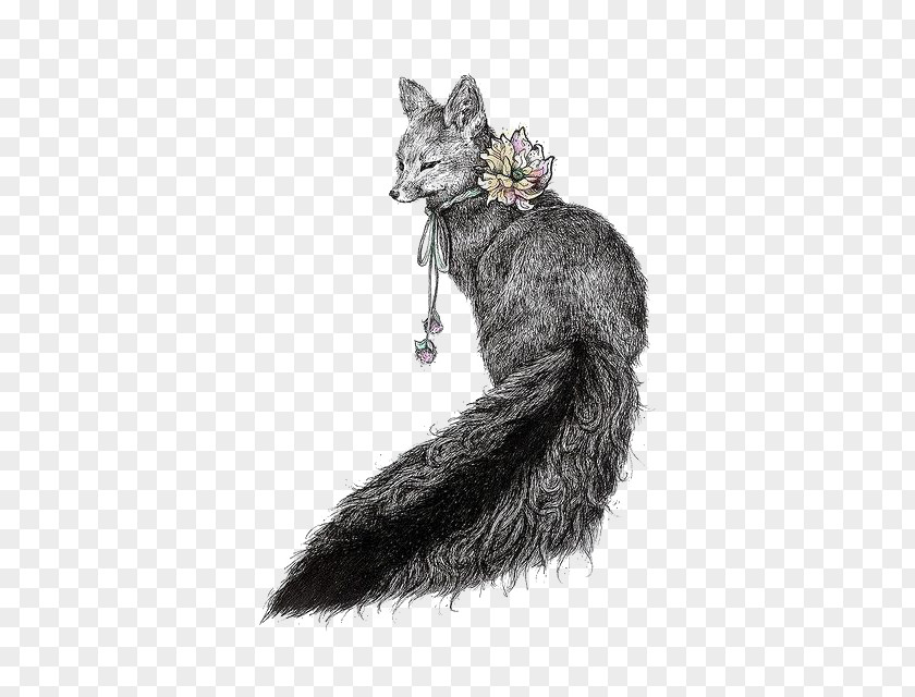 Hand-painted Black And White Fox Drawing Illustrator Art Illustration PNG
