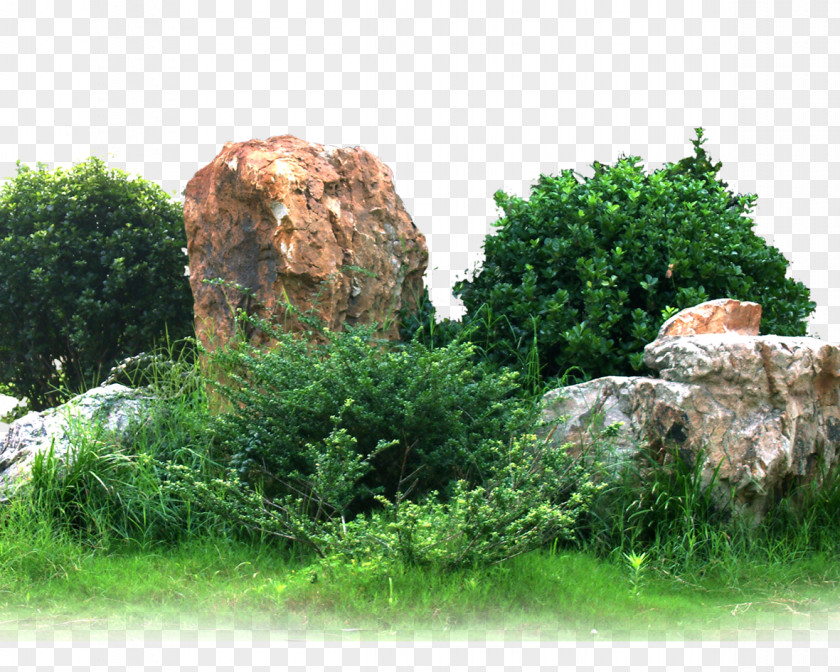Rock 庭石 Garden Landscape Architecture Image PNG
