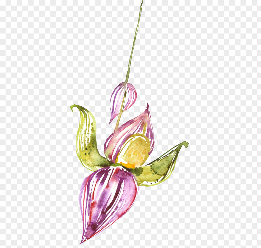 Watercolor Lily Painting Flower PNG