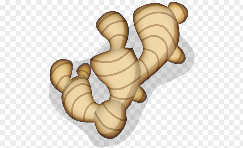 A Ginger Icon Design PNG