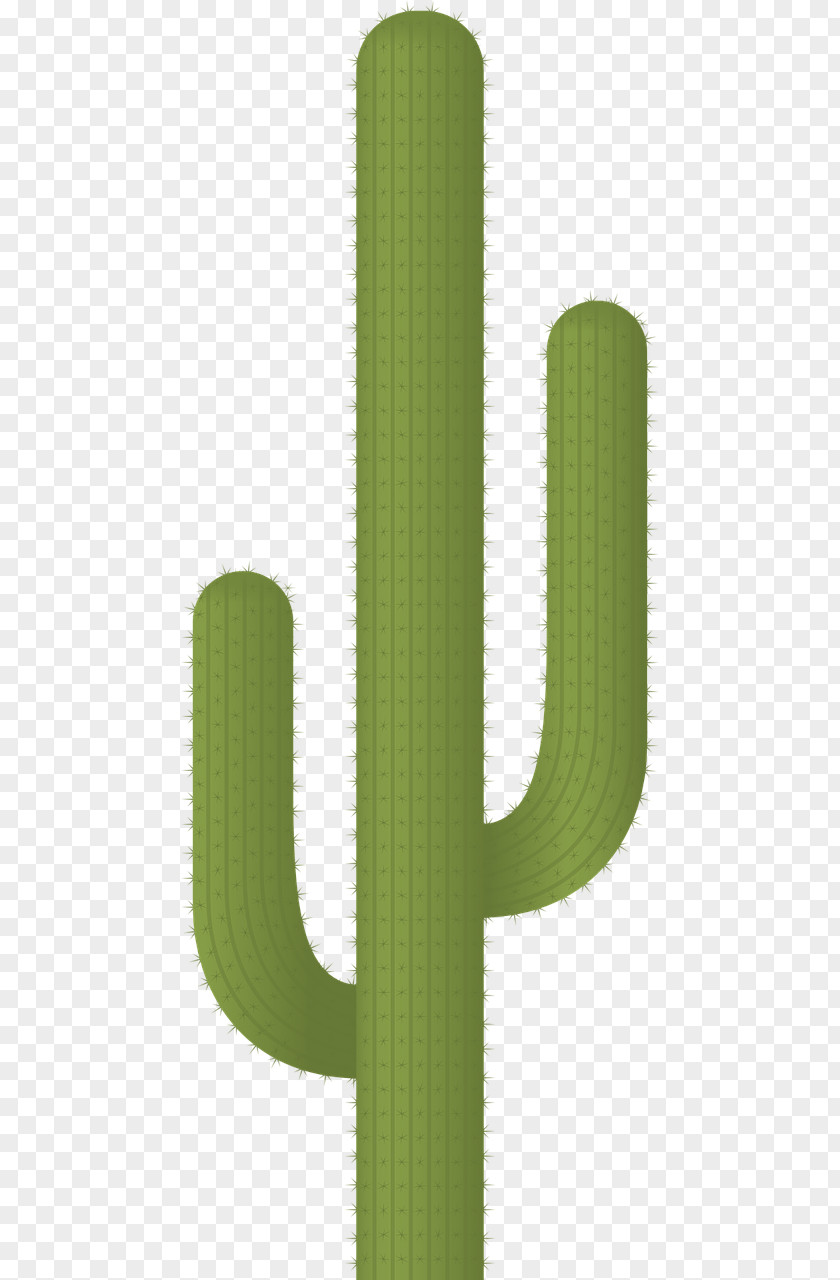 Cactus Succulents And Vector Graphics Thorns, Spines, Prickles Image PNG
