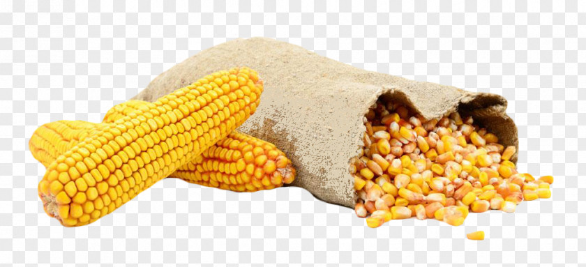 Corn Grain Waxy Bag Kernel Sweet Animal Feed PNG