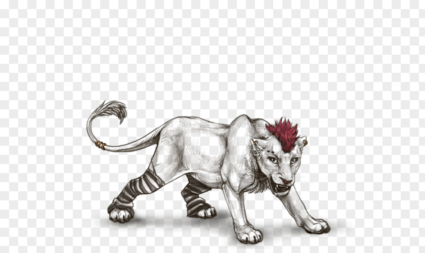 Lion Tiger Cat Drawing Terrestrial Animal PNG