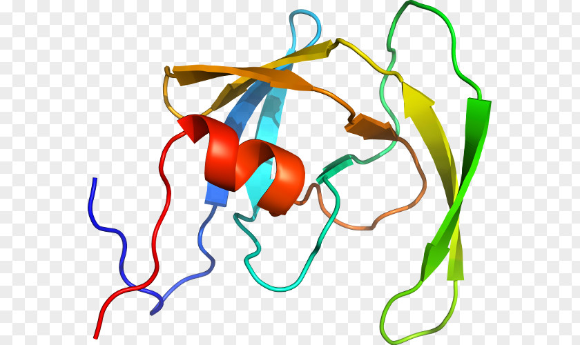 Peptidomimetic Sequence HIV-1 Protease Atom Chemical Compound PNG