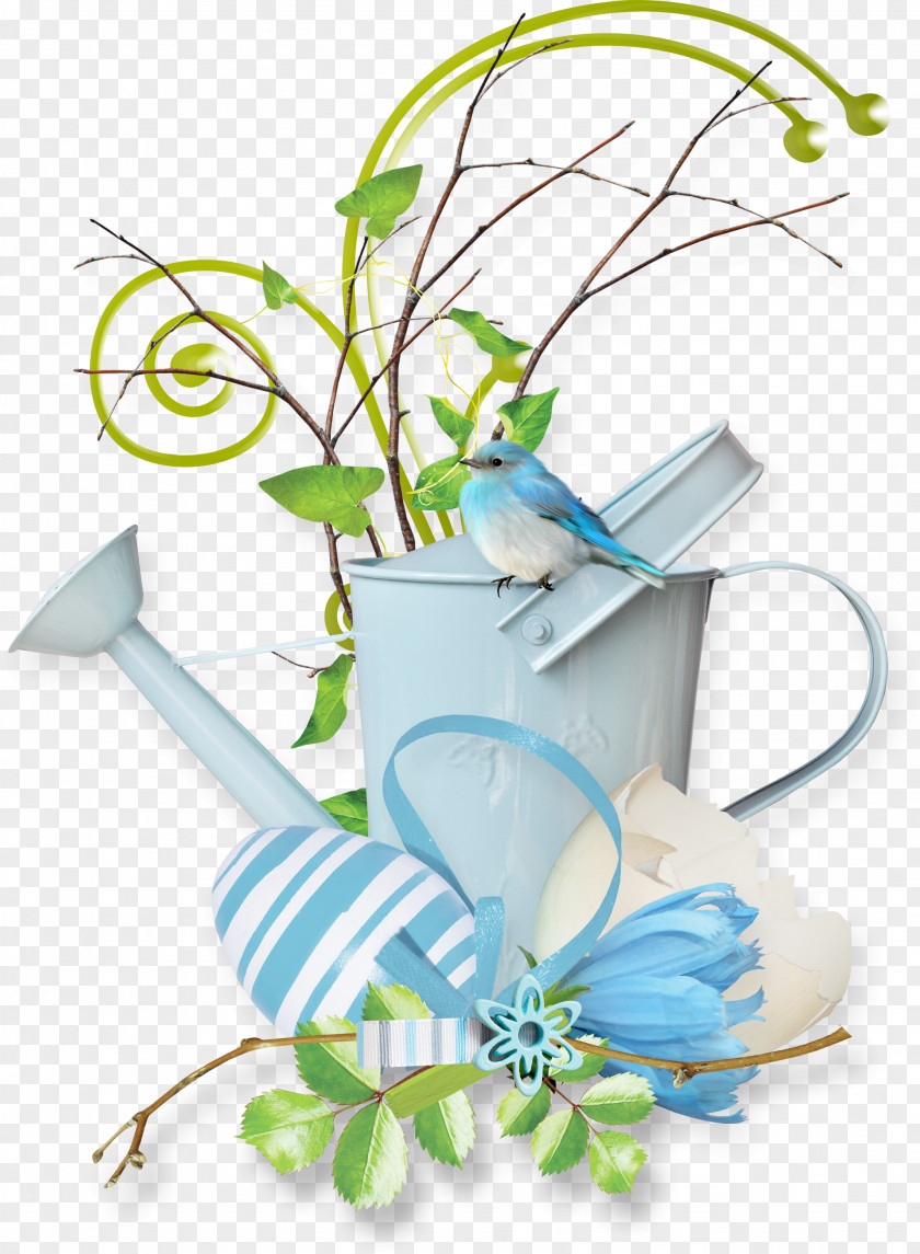 Perching Bird Morning Glory Easter Egg Background PNG