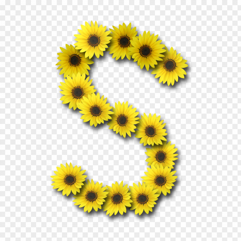 Sunflower Letter Alphabet Common PNG
