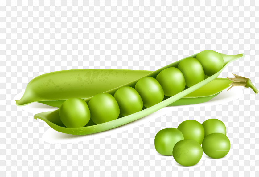 Vegetable Peas Pea Royalty-free Stock Illustration PNG