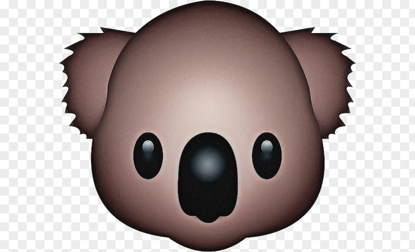 Animation Snout Koala Emoji PNG