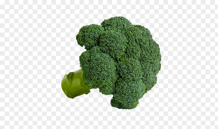 Broccoli Herb PNG