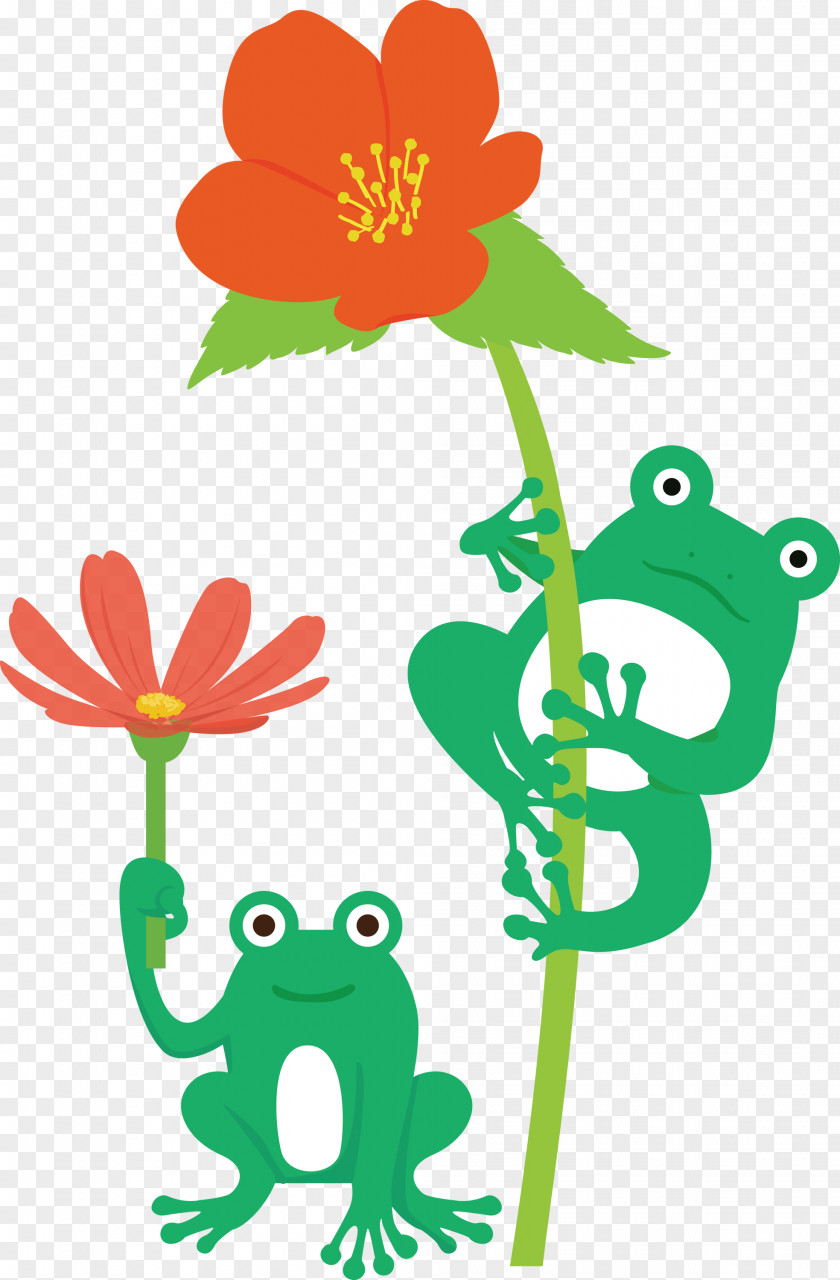 Flower Tree Frog Frogs Cartoon Green PNG