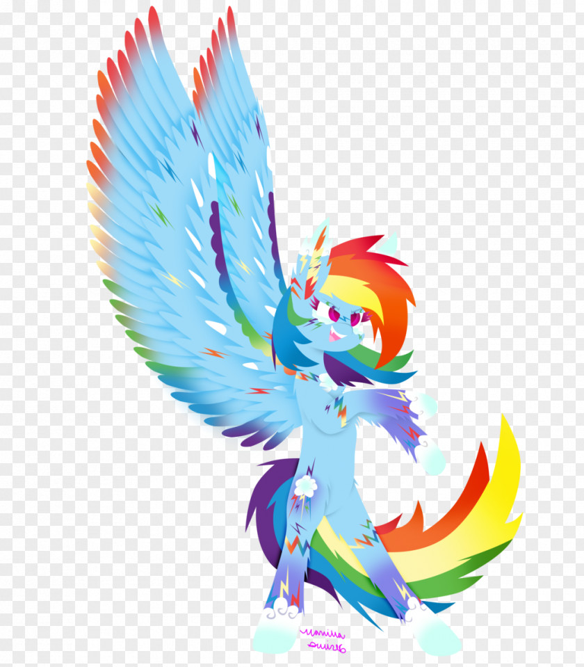 Rainbow Dash Avatar Illustration Graphics Beak Feather Legendary Creature PNG