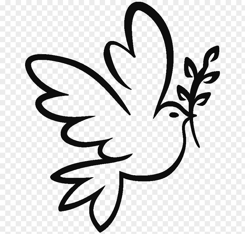Colombe Drawing Doves As Symbols Coloring Book PNG