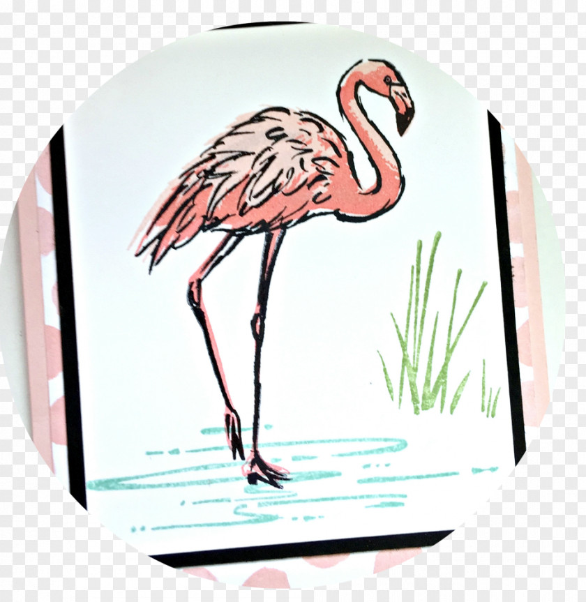 Creative Flamingos Stampin' Up Inc. Rubber Stamp Paper Postage Stamps Mail PNG