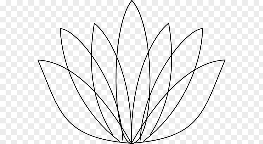 Lotus Outline Nelumbo Nucifera Egyptian Drawing Flower Clip Art PNG