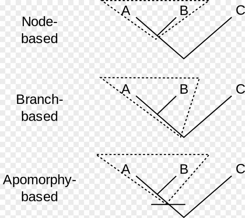 Phylogenetic Tree Clade Synapomorphy And Apomorphy Nomenclature Cladistics Holophyly PNG