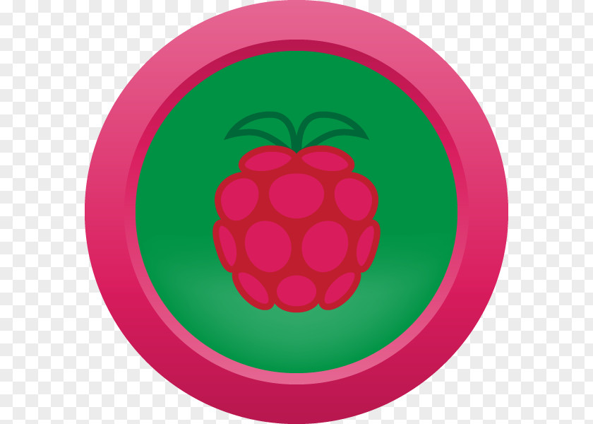 Raspberries Green Magenta Cartoon Flower PNG