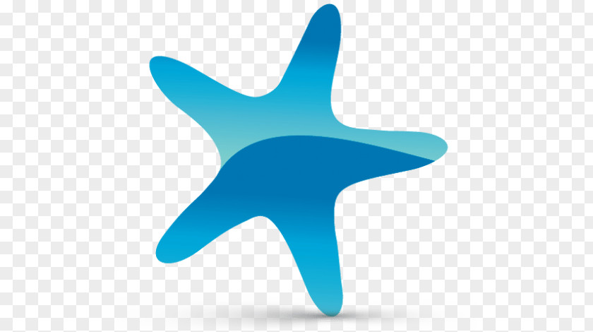 Starfish Logo Clip Art PNG
