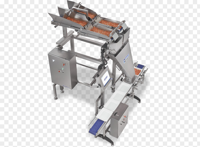 Weighing-machine Jerky Machine Packaging And Labeling Food PNG