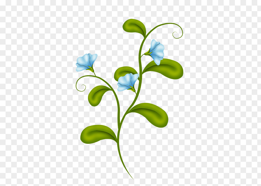 Dayflower Pedicel Leaf Branch PNG