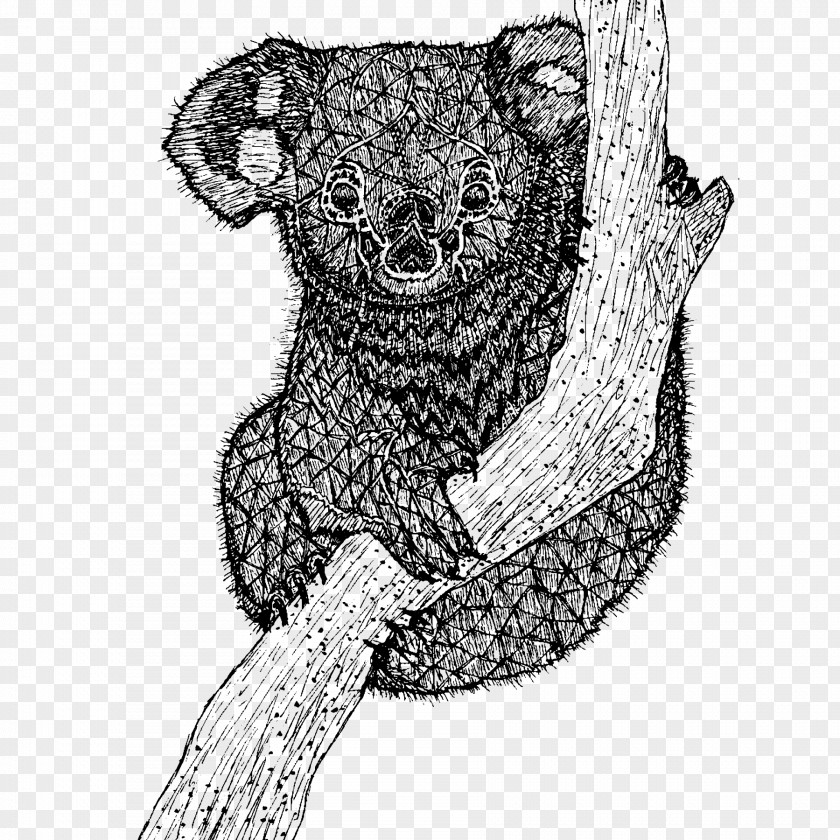 Koala T-shirt Drawing Sketch PNG