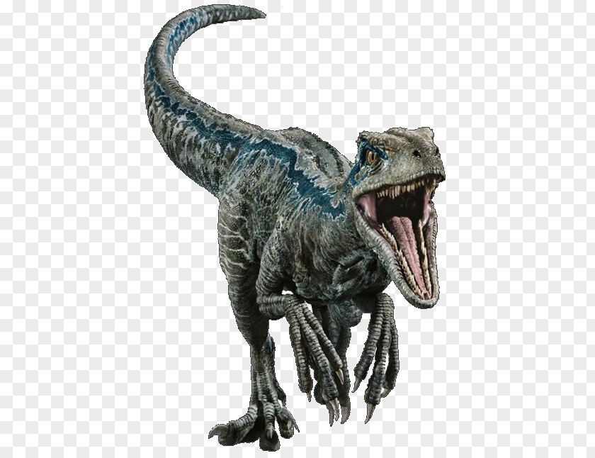 Velociraptor Blue Tyrannosaurus Deinonychus Dinosaur Stegosaurus PNG