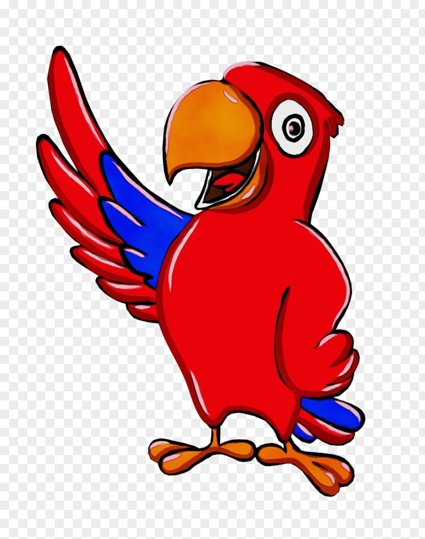 Wing Parrot Bird Beak Cartoon Macaw PNG