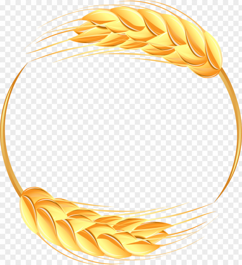 Beautiful Wheat Border Ear Illustration PNG