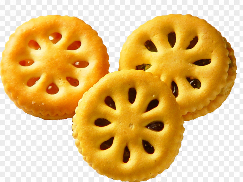 Biscuit Cracker High-fructose Corn Syrup Food PNG