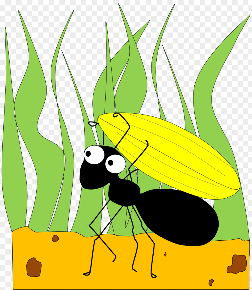 Cartoon Ants Cliparts The Ant And Grasshopper Clip Art PNG