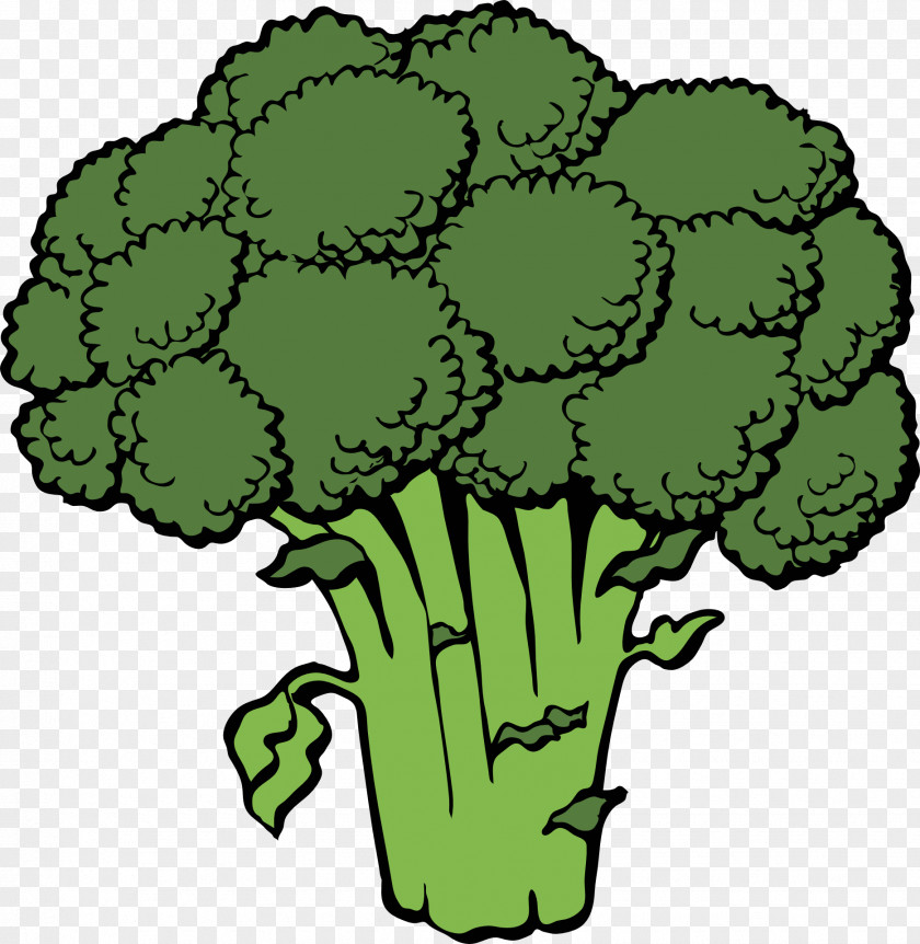 Green Cauliflower Broccoli Vegetable Clip Art PNG