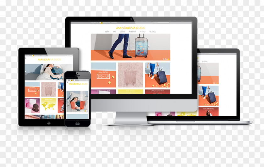 Mandarin Duck Responsive Web Design Search Engine Optimization PNG