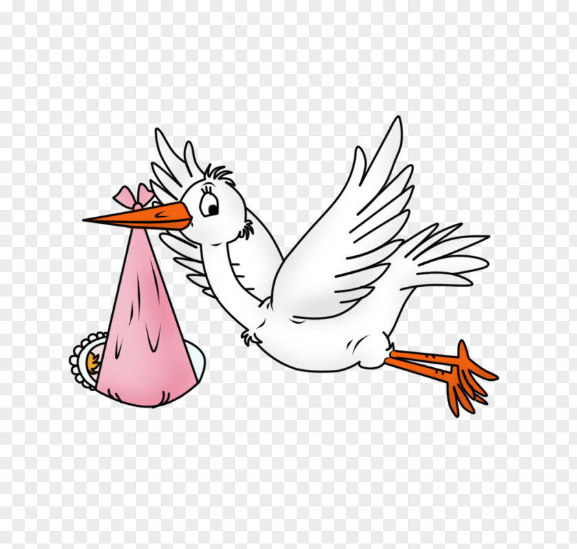 Stork Cartoon Childbirth Infant Pregnancy PNG