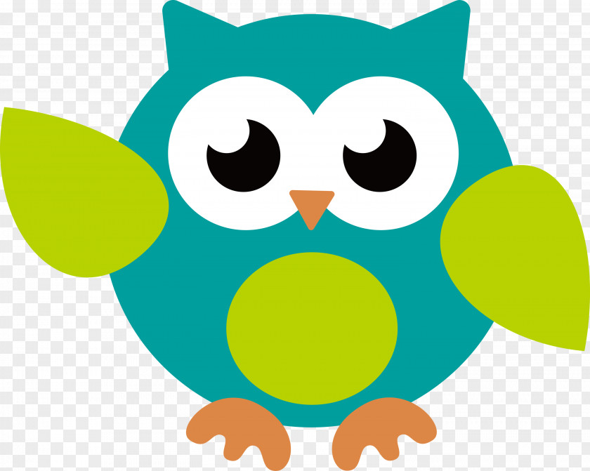 Beak Cartoon Birds Bird Of Prey Owl M PNG