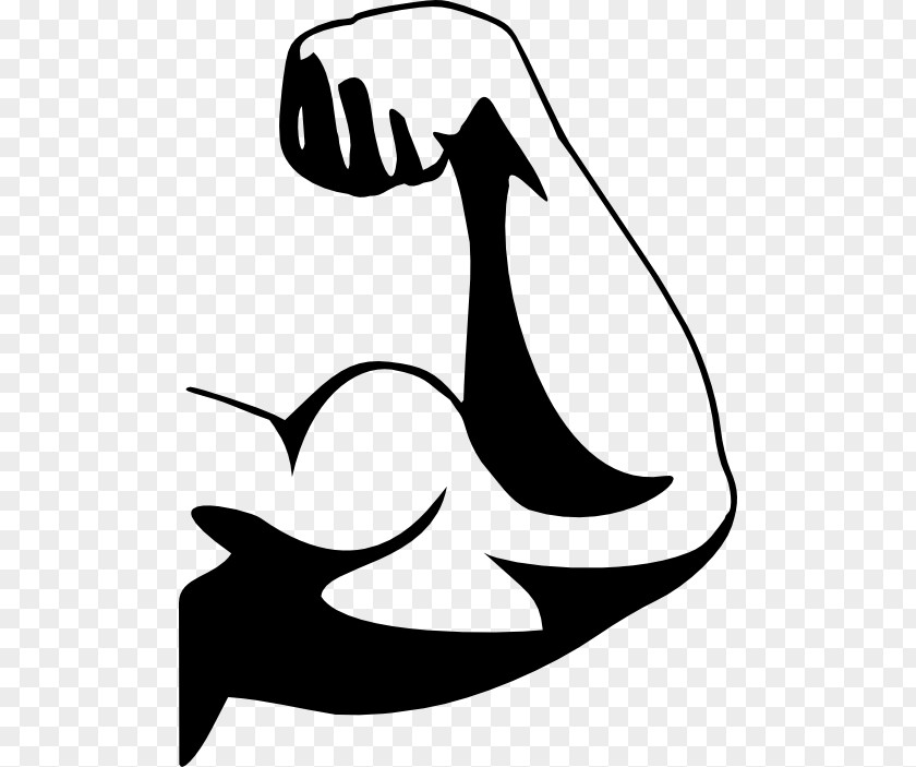 Biceps Muscle Arm Clip Art PNG