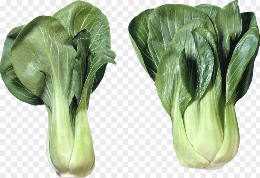 Bok Choy Chinese Cuisine Capitata Group Cabbage Salad PNG