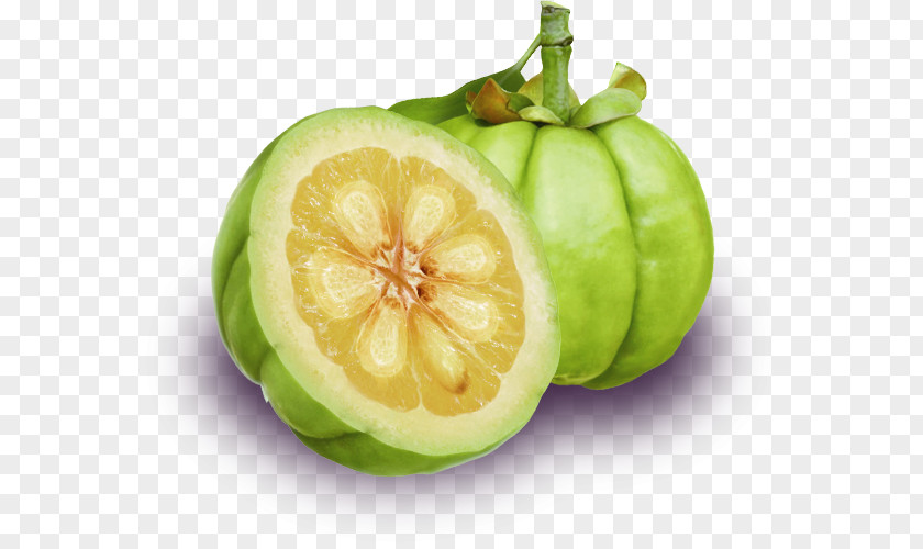 Garcinia Cambogia Dietary Supplement Weight Loss Food Fat PNG