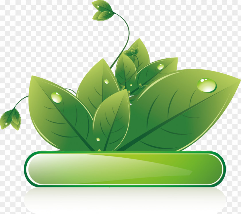 Green Leaves Textbox Ecodesign Euclidean Vector PNG