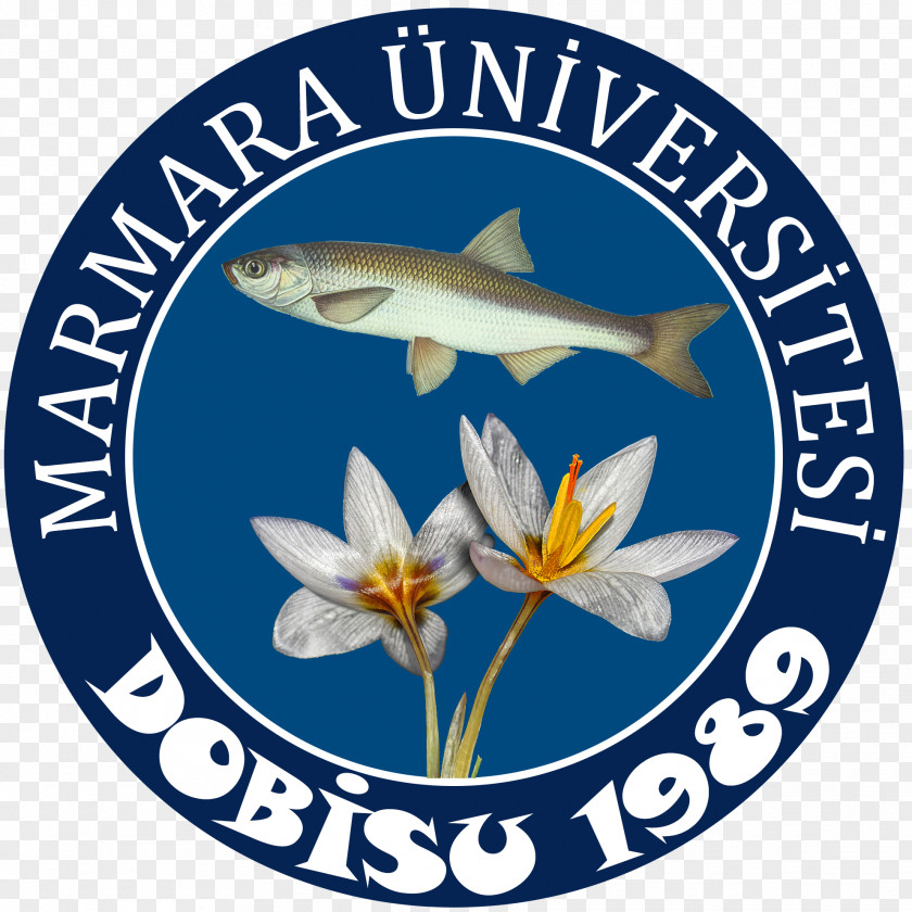 Marmara University Research Fish Nature PNG
