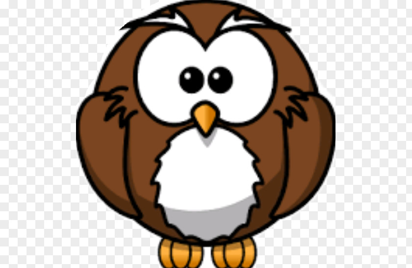 Owl Drawing Cartoon Clip Art PNG