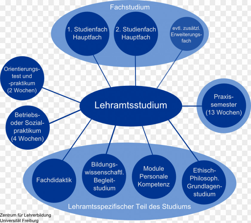 Student Lehramtsstudium Studia Wyższe Staatsexamen University School Teacher PNG