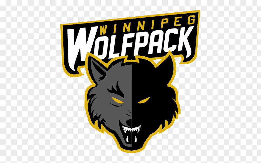 American Football NC State Wolfpack Canadian League Women's Basketball North Carolina University Winnipeg Nomads Club PNG