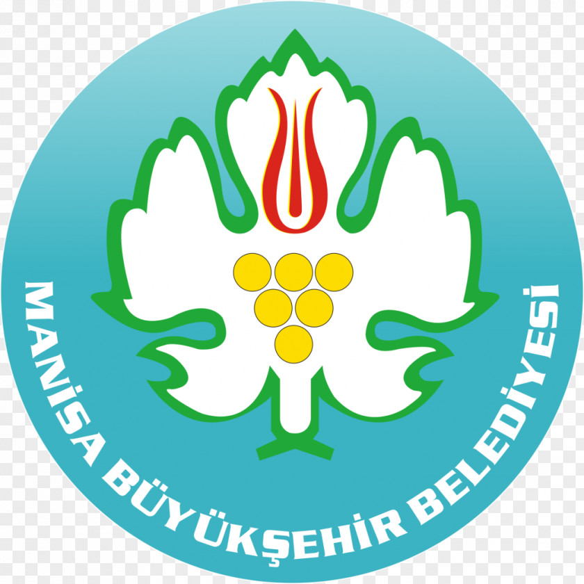 Bizi Takip Et Manisa Buyuksehir Belediye Spor TFF Second League Tokatspor Menemen Belediyespor Third PNG