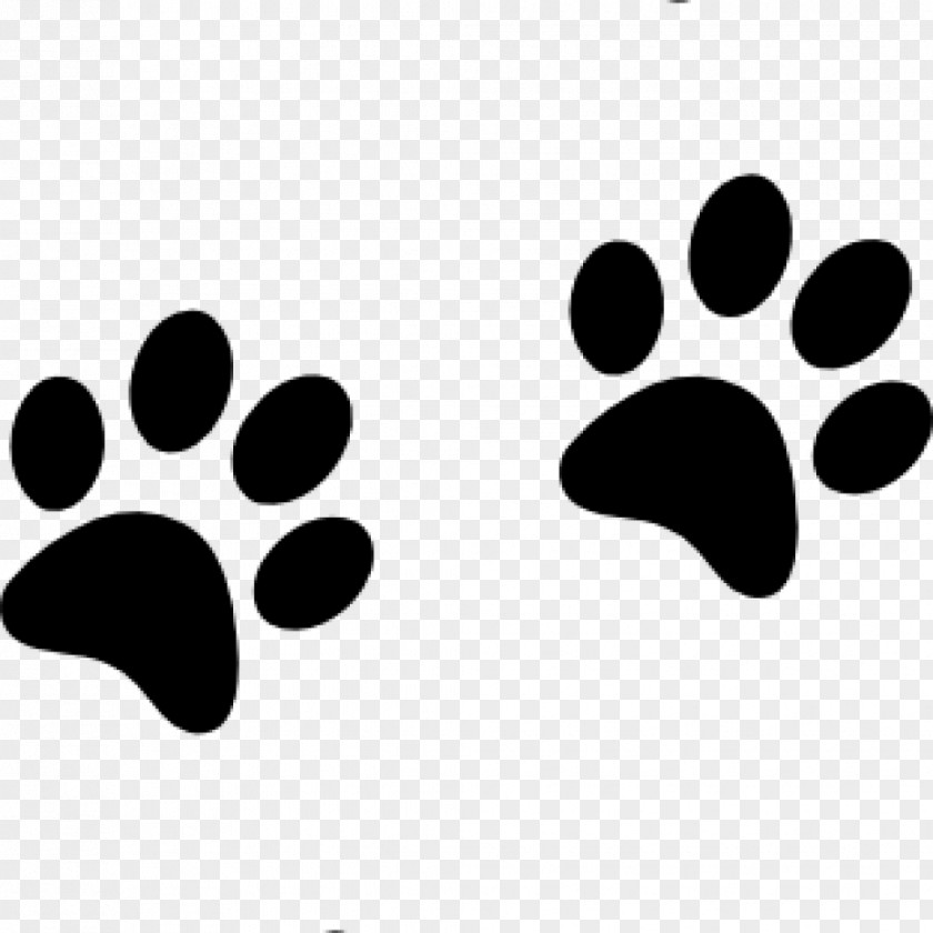 Bunny Paw Prints Vector Graphics Clip Art Image PNG