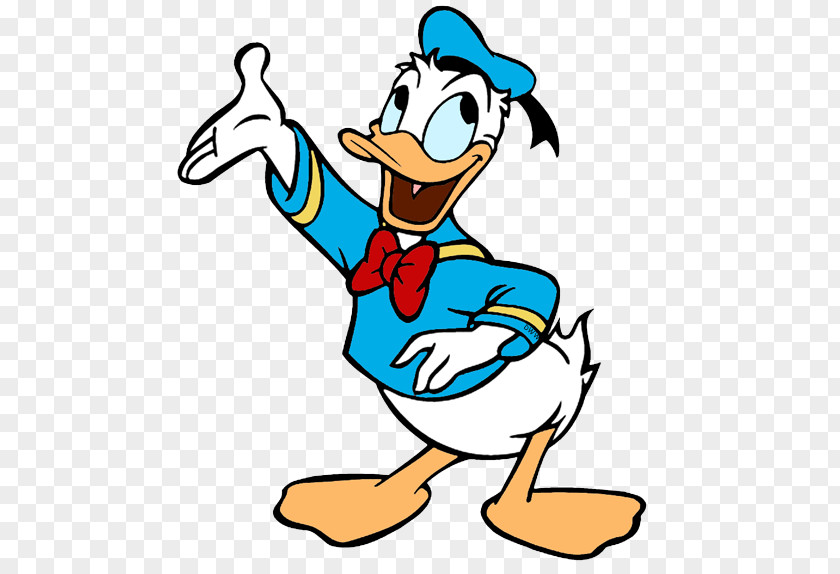 Donald Duck Daisy Mickey Mouse Drawing The Walt Disney Company PNG