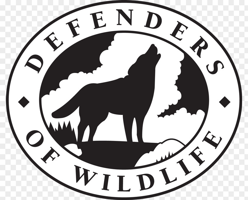 Natural Environment Endangered Species Act Of 1973 Defenders Wildlife Organization PNG