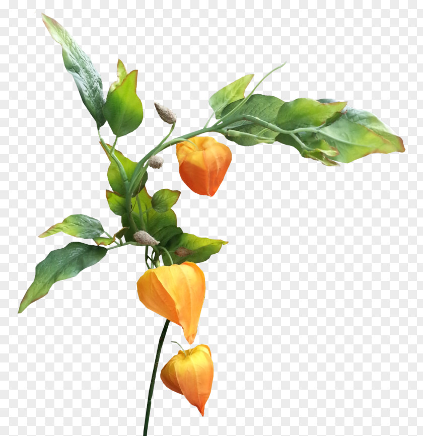 Anthurium Artificial Flower PNG